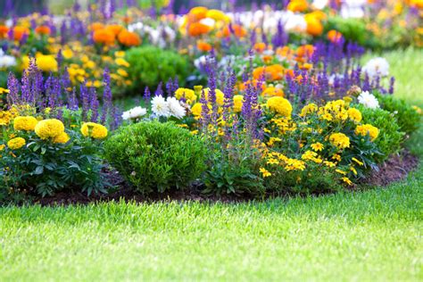 Keep Your Lawn Beautiful With A Lawn Fertilization Service
