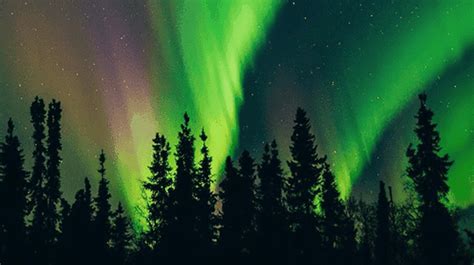 Best Places To See The Northern Lights In Alaska