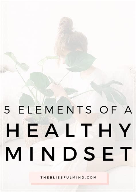 5 Key Elements Of A Healthy Mindset The Blissful Mind