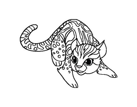 Kansas State Wildcats Coloring Pages Coloring Pages