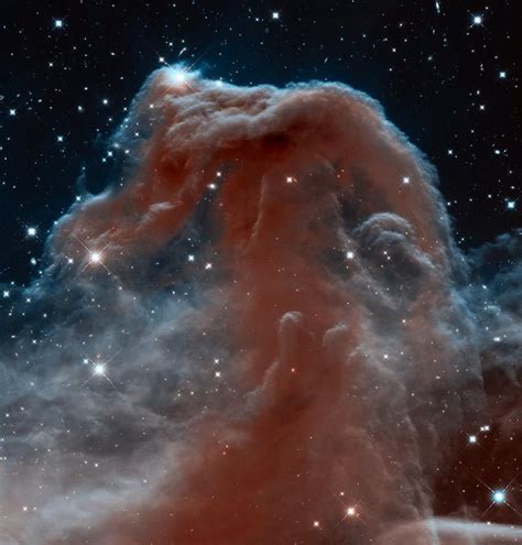 Hubble And Hershel Show The Horsehead Nebula In A Spectacular New Light