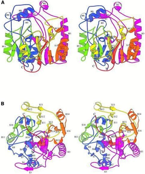 Arginine:glycine amidinotransferase - Alchetron, the free social