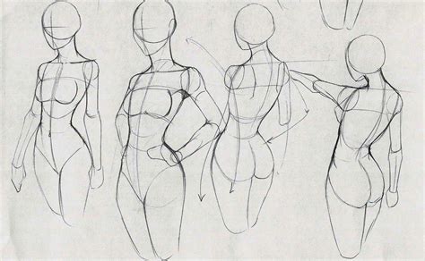Estudo Anatomia Desenho