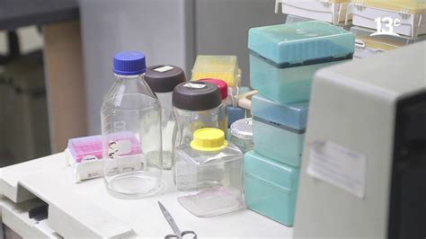 Las desarrolladas por sinovac, pfizer, la universidad de oxford y. Vacuna contra el virus sincicial creada en Chile ...