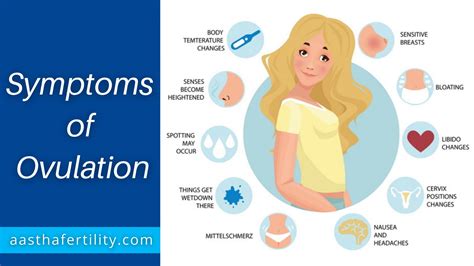 10 Ovulation Symptoms What They Are What They Mean