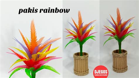 Maybe you would like to learn more about one of these? PAKIS RAINBOW | TANAMAN HIAS | BUNGA DARI SEDOTAN MINUMAN ...
