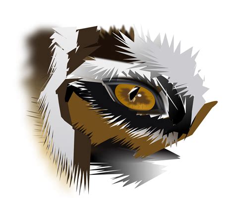 Tiger Eyes Png Png Image Collection