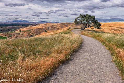 Golden Hills Of California Overlooking Livermore Valley Fr Flickr