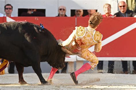 Another Matador Was Savagely Gored In The Butt By A Raging Bull Maxim