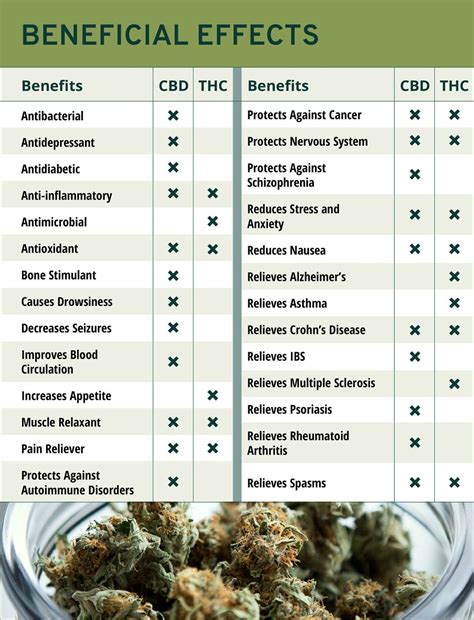 Cbd Vs Thc Understand The Differences Cannabis Connection