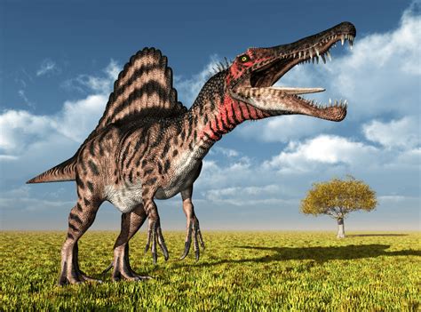 Meat Eating Dinosaurs Spinosaurus