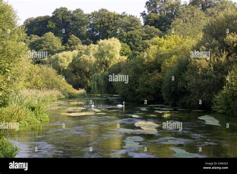 Hampshire River Itchen Stock Photo Alamy