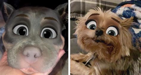 Having snapchat back in 2013 was cool. New Snapchat Filter Turns Your Dog Into A Disney Character ...