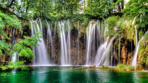 Beautiful Waterfalls Scenery Green Plants Bushes Trees River Forest