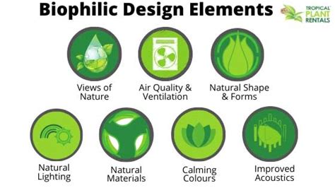 Biophilic Design In The Workplace Benefits And Examples