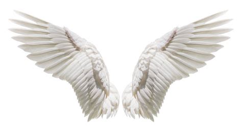 Free for commercial use high quality images Angel Wings Stock Photos, Pictures & Royalty-Free Images ...