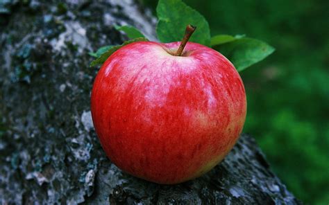 Red Apple Fruit Wallpapers Wallpaper Cave