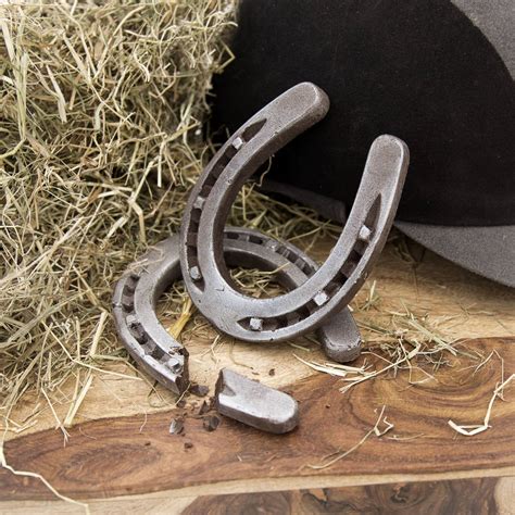 Chocolate Horseshoe By Schokolat Scotland | notonthehighstreet.com