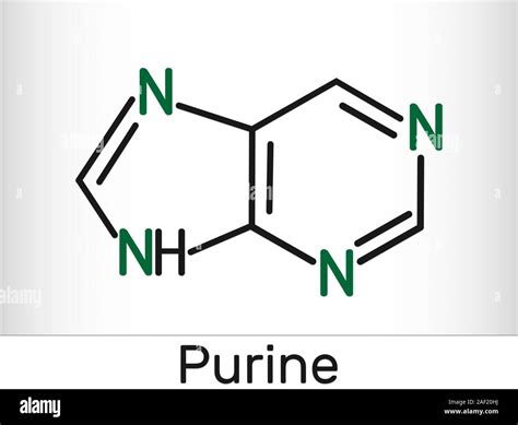 Purine Molecule Is A Heterocyclic Aromatic Organic Compound Skeletal