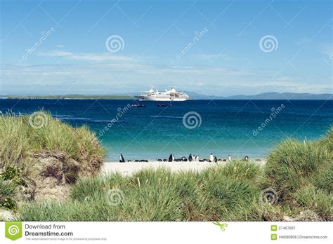 Islas malvinas es un archipiélago en el sur del océano atlántico. Pingüinos En La Playa Hermosa De Islas Malvinas Imagen de ...