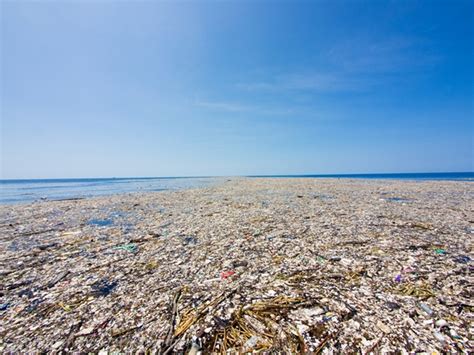 What Is Great Pacific Garbage Patch Peace Issue News And Insights