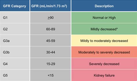 What Is The Normal Gfr Rate For One Kidney