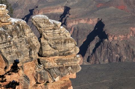 Grand Canyon Rim Free Stock Photo Public Domain Pictures