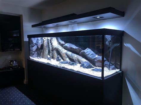Custom Made Fish Tanks And Aquarium Builders In Melbourne