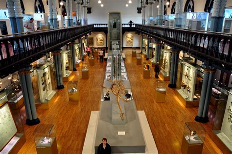 Museums and art galleries give us an opportunity to learn facts about art, history and culture of different peoples and countries. Hunterian Museum and Art Gallery - Museum in Glasgow ...