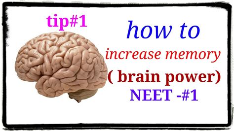 How To Increase Memory Power How To Boost Brain How To Increase