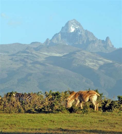 Mount Kenya National Park Rovic Tours