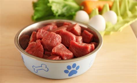 The Scoop On Unrefined Dog Food Top 10 Picks For Healthier Pups