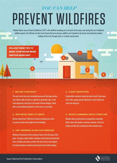 Preventing Wildfires Infographic Dry Brushing Prevention Decks