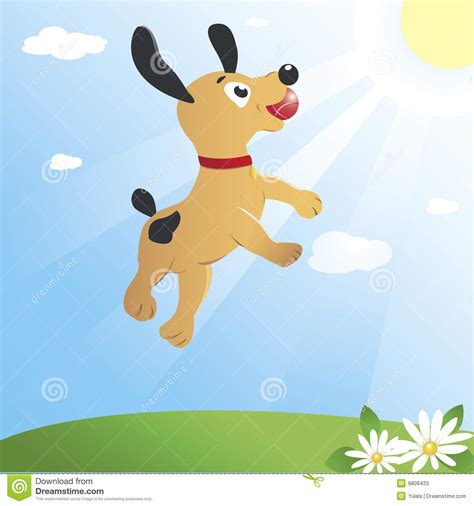 Jumping Dog Stock Vector Illustration Of Ball Happiness 9808433
