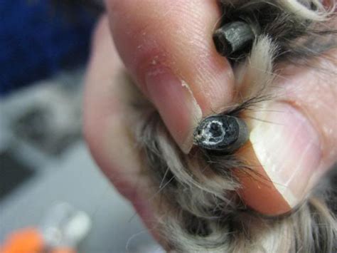 This is by far the trickiest. Pinterest