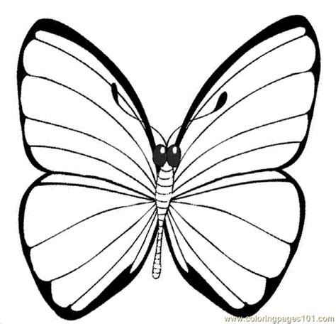 Coloring Pages Ying Butterfly Coloring Pages Insects