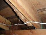 Repair Termite Damaged Wood Filler