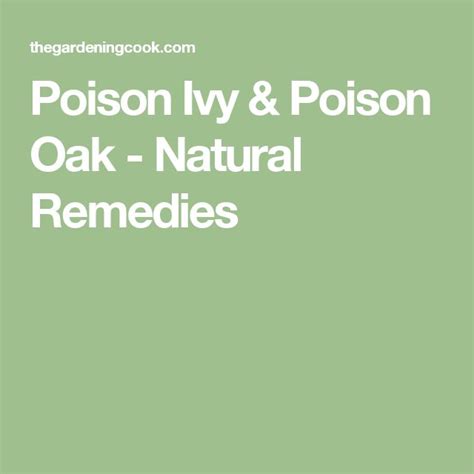 Poison Ivy And Poison Oak Natural Remedies Poison Oak Natural