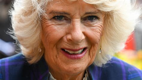 The Cheeky Joke Camilla Parker Bowles Just Made About Colin Firth
