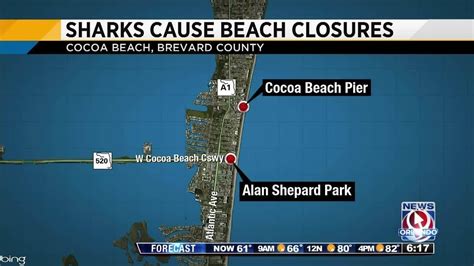 Large Sharks Spotted Off Cocoa Beach Youtube