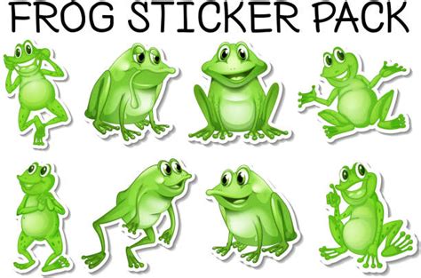 Frog Dissection Background Illustrations Royalty Free Vector Graphics