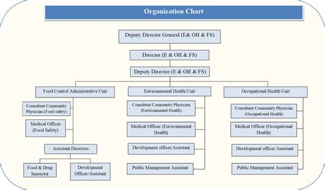 The ministry of health (malay: Organization Chart