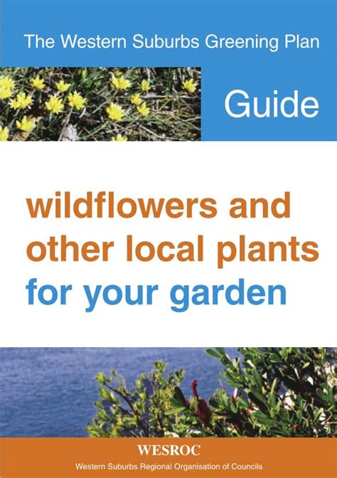 Wildflowers And Other Local Plants For Your Garden Docslib