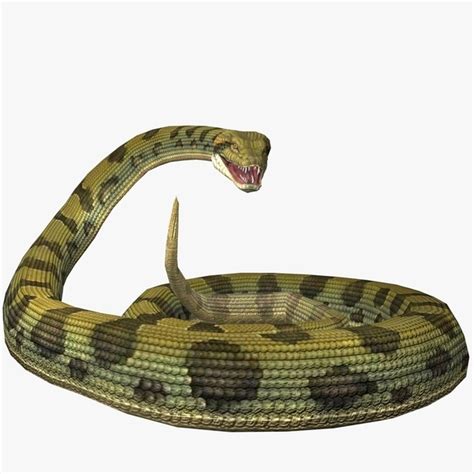 Anaconda Animated 3d Model