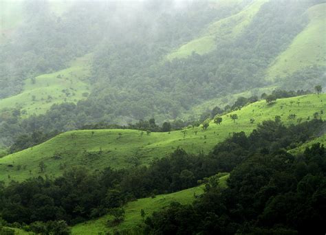 Kudremukh Shola Grasslands The Shola Grasslands And Fore Flickr