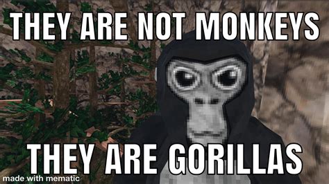 Message To All The Gorilla Tag Players That Say Monke All The Time And