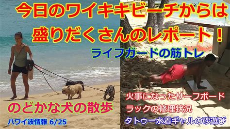 このアカウントには、性的興奮を催すリンクや破廉恥な画像を多数含みます。 もし嫌悪感を感じたらミュートないしはブロック下さい。 #uncensored #無修正 #pornstar #av女優. 今日のハワイ波情報【波が無い日はライフガード、マッチョ ...