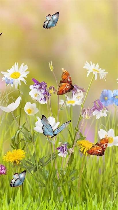 Spring Wallpapers Iphone Backgrounds Screensaver Butterfly Flowers