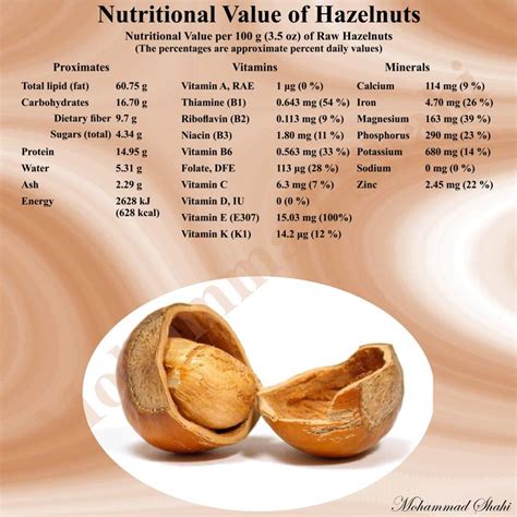 Nutritional Value Of Hazelnuts