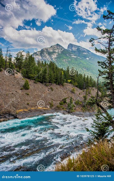 Bow River Banff Canadian Rockies Stock Image Image Of Canada Banff